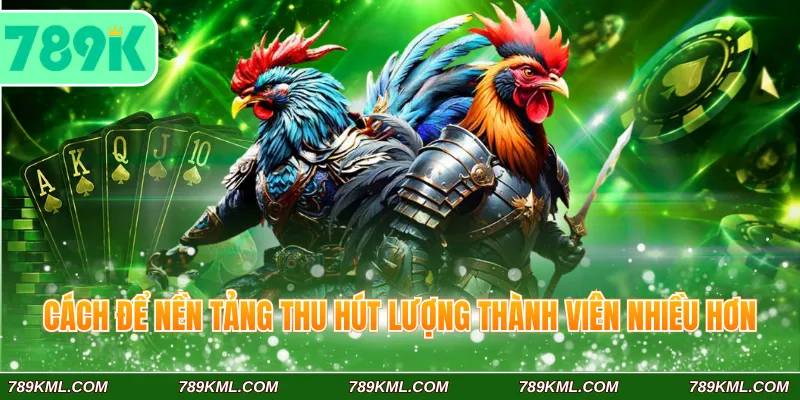 Cách để nền tảng thu hút lượng thành viên nhiều hơn