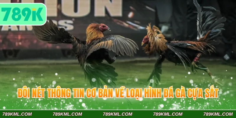Đôi nét thông tin cơ bản về loại hình đá gà cựa sắt 789K