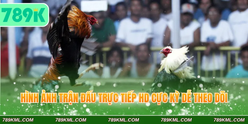 Hình ảnh trận đấu trực tiếp HD cực kỳ dễ theo dõi