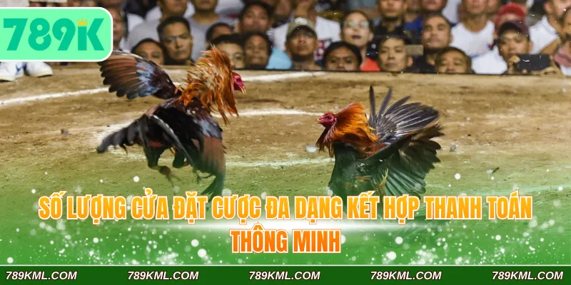 Số lượng cửa đặt cược đa dạng kết hợp thanh toán thông minh