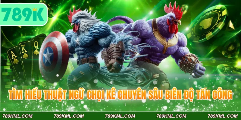 Tìm hiểu thuật ngữ chọi kê chuyên sâu biên độ tấn công
